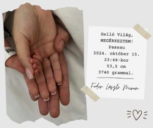 Megérkeztem üdvözlőlap